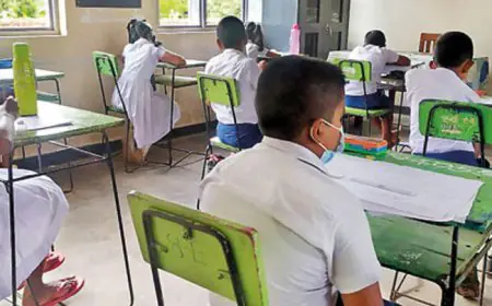 புலமை பரிசில் பரீட்சை தொடர்பில் நீதிமன்றம் வழங்கியுள்ள தீர்ப்பு