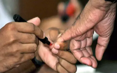 8000 உள்ளூர் மற்றும் வெளிநாட்டு கண்காணிப்பாளர்கள் களத்தில்...