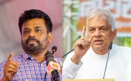 புதிய ஜனாதிபதி அநுர குமாரவுக்கு ரணில் அனுப்பிய செய்தி