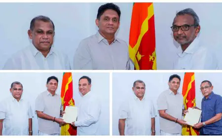 இம்தியாஸ், கபீர் மற்றும் ஹர்ஷனவுக்கு புதிய பதவிகள்