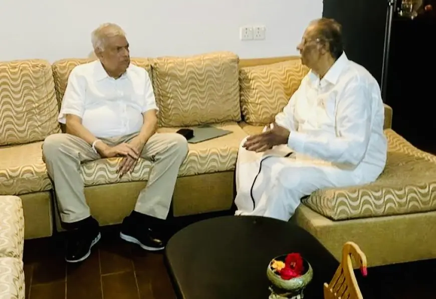 வடக்கு மக்களின் பிரச்சினைகளை ரணில் தீர்ப்பார் - மாவை நம்பிக்கை