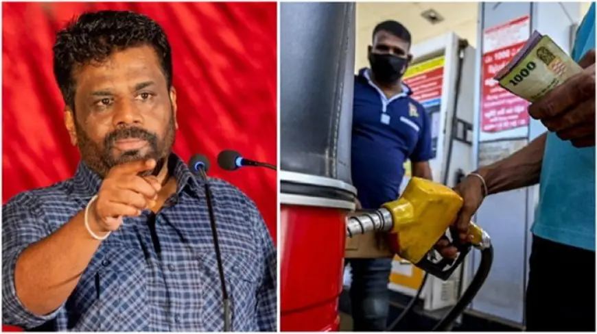 20 ரூபாய்க்கு மேல் குறைக்கப்பட்ட எரிபொருட்களின் விலை