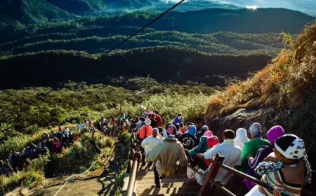 சிவனொளி பாதமலைக்கு சென்ற 25 பேர் கைது