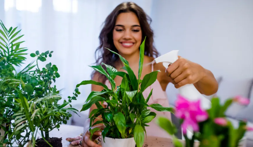 Home Astrology 2025: புதுவருடத்தில் வீடு யோகம் கூடி வரப்போகும் 6 ராசிகள்!