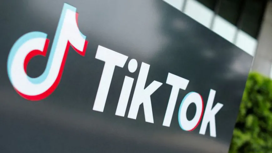 14 வயது சிறுமி உயிரிழப்பு - TikTok செயலிக்கு தடை விதிப்பு