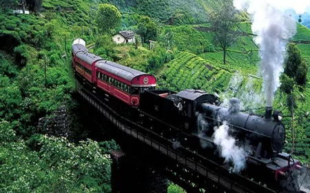 ஜனவரி மற்றும் பெப்ரவரி மாதங்களில் சிறப்பு ரயில் சேவைகள்