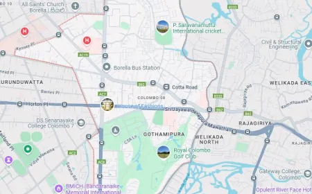 அடுக்குமாடி குடியிருப்பில் இருந்து விழுந்து சிறுமி உயிரிழப்பு