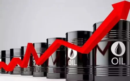 கச்சா எண்ணெய் விலை உயர்ந்துள்ளது