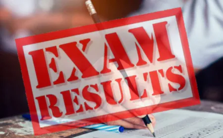 புலமைப்பரிசில் பரீட்சை பெறுபேறு வெளியானது