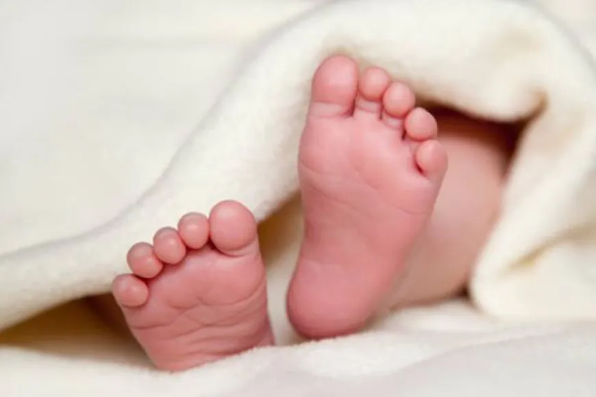 கிணற்றில் வீசப்பட்ட நிலையில் சிசுவின் சடலம் யாழில் மீட்பு