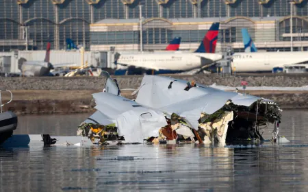 அமெரிக்க விமான விபத்து தொடர்பில் வெளியான புதிய வீடியோ