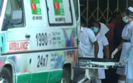 இந்த ஆண்டில் வீதி விபத்துகளில் 203 பேர் உயிரிழப்பு