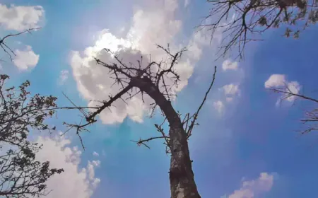 இன்றைய வானிலை -  நாட்டின் பல பகுதிகளில் மழையற்ற வானிலை 