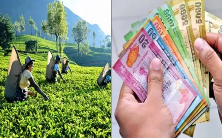 ​தோட்டத் தொழிலாளர்களுக்கு 1700 ரூபாய்  சம்பளம்