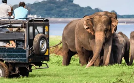 தற்காலிகமாக மூடப்படும் யால தேசிய பூங்கா