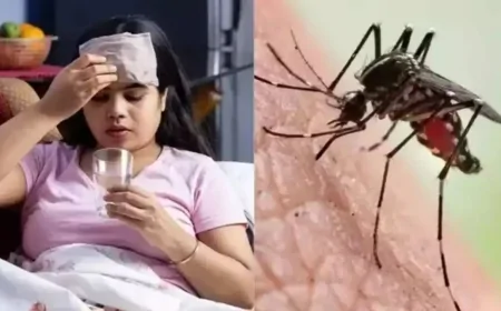 டெங்கு குறித்து மக்களுக்கு விடுக்கப்பட்டுள்ள எச்சரிக்கை