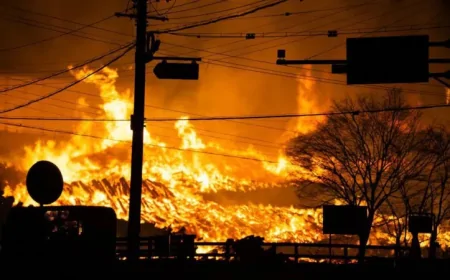 தென் கொரியாவில் உள்ள இலங்கையர்களுக்கு விசேட அறிவிப்பு