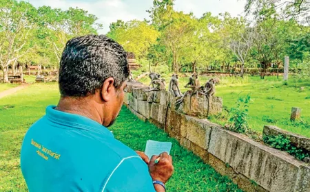 வனவிலங்கு கணக்கெடுப்பு அறிக்கை நாளை வெளியிடப்படும்
