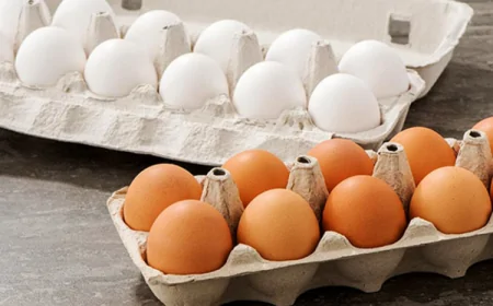 முட்டை விலையை அதிகரிக்கமாறு உற்பத்தியாளர்கள் கோரிக்கை