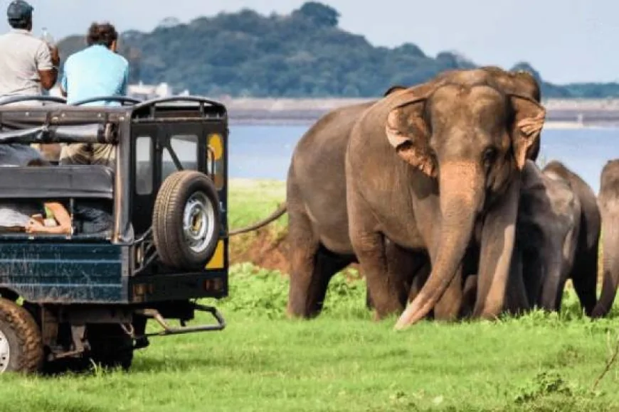 தற்காலிகமாக மூடப்படும் யால தேசிய பூங்கா