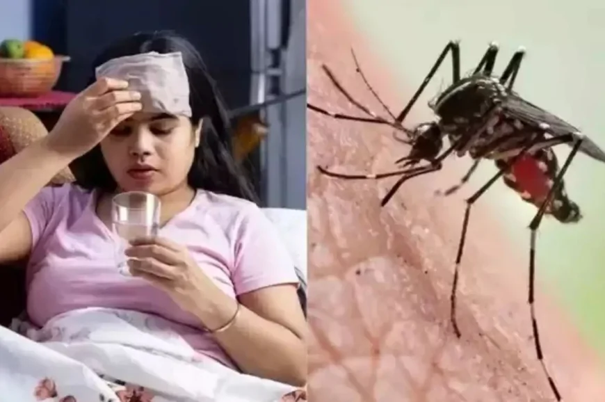 டெங்கு குறித்து மக்களுக்கு விடுக்கப்பட்டுள்ள எச்சரிக்கை
