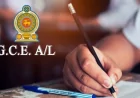 උසස් පෙළ විභාගයේ ප්‍රතිඵල නිකුත් වෙයි