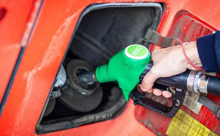 UK Investigates Claims of Virgin Palm Oil Fraud in Green Fuel Production