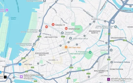 இரண்டு பெண்களுடன் காரை கடத்திய நபர்:  கொட்டாஞ்சேனை துப்பாக்கிச் சூடு; முழுவிவரம்