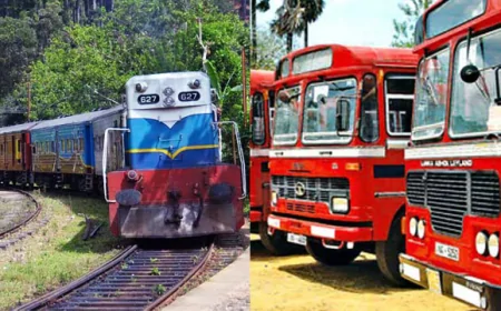 இன்று முதல் முன்னெடுக்கப்படும் விசேட போக்குவரத்து திட்டங்கள் 