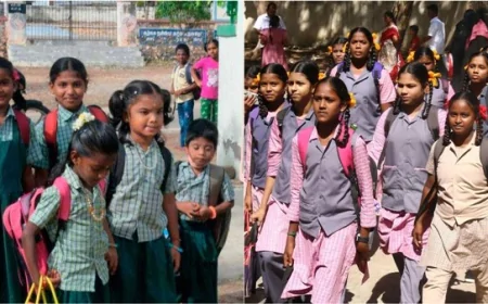 கோடை விடுமுறை - பள்ளிகள் திறப்பு எப்போது தெரியுமா? 