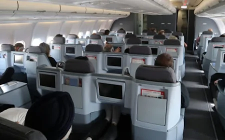 விமானப் பணிப்பெண்ணிடம் சில்மிஷம் - ஸ்வீடன் பிரஜைக்கு அபராதம் 