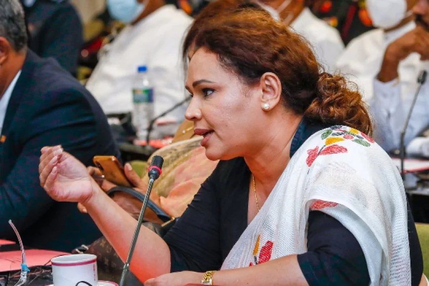 டயானா கமகேவுக்கு எதிரான வழக்கு விசாரணை ஒத்திவைப்பு