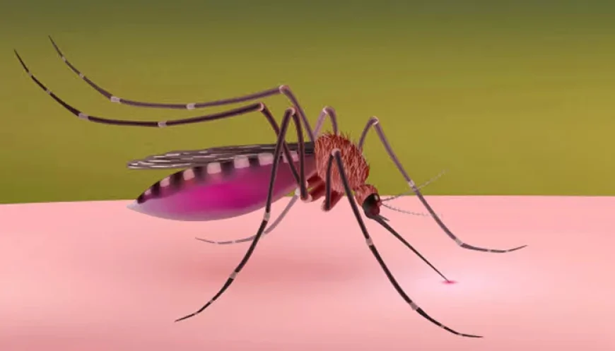 ලෝක මැලේරියා දිනය අදයි