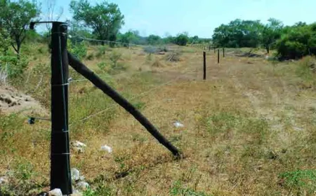 திருகோணமலையில் மின்சாரம் தாக்கி இரண்டு பேர் உயிரிழப்பு