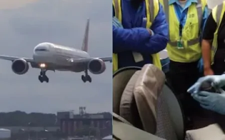 சென்னையில் இருந்து இலங்கை வந்த விமானத்தில் பயங்கரவாதி? பாதுகாப்பு படையினர் தீவிர சோதனை