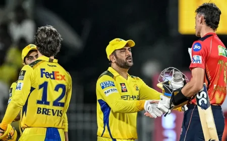 மீண்டும் தொடங்கும் ஐபிஎல்.? வெளியான தகவல்