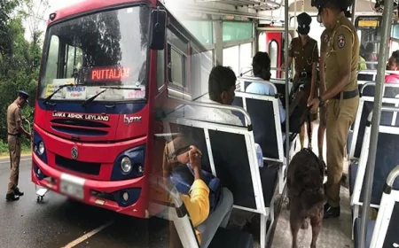 நீண்ட தூர போக்குவரத்து பஸ்கள் திடீர் சோதனைக்கு உட்படுத்தப்படும்! வெளியான அறிவிப்பு