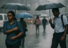 தென்மேற்குப் பருவப் பெயர்ச்சி மழை ஆரம்பம் - பல மாவட்டங்களில் கனமழை எச்சரிக்கை