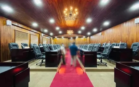 161 உள்ளூராட்சி மன்றங்களுக்கான வர்த்தமானி வெளியீடு