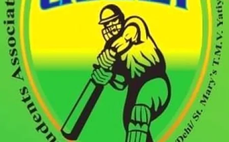 பழைய மாணவர்களின் மாபெரும் கிரிக்கெட் விழா