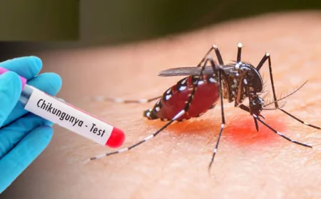 பொகவந்தலாவையில் ஆறு பேருக்கு சிக்குன்குனியா தொற்று