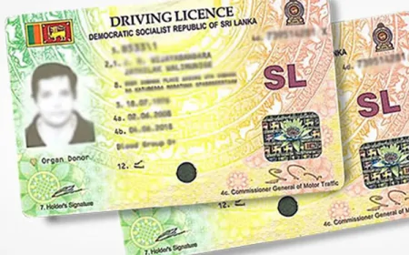 இரண்டு மில்லியன் சாரதி அனுமதிப் பத்திரங்களை  ரத்துசெய்ய நடவடிக்கை?