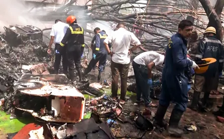 அகமதாபாத் விமான விபத்து: விமானத்தில் இருந்த யாரும் பிழைக்கவில்லை