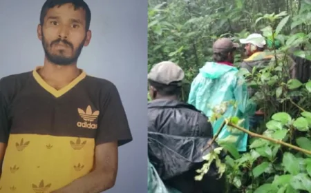 நுவரெலியாவில் காட்டுக்குச் சென்ற இளைஞன் மாயம்
