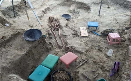 செம்மணி புதைகுழியில் கைக்குழந்தையின் எலும்புக்கூடு அடையாளம்!