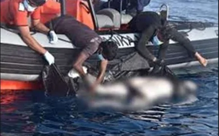 கொழும்பு துறைமுக நகர செயற்கைக் கடலில் மாயமான மாணவன் சடலமாக மீட்பு!