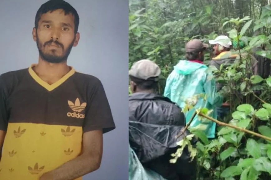 நுவரெலியாவில் காட்டுக்குச் சென்ற இளைஞன் மாயம்