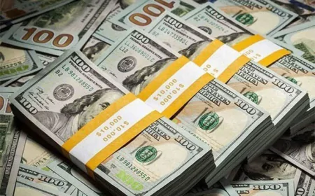 ஜூன் மாதத்தில் இலங்கைக்கு கிடைத்த வெளிநாட்டு வருமானம் இவ்வளவா?