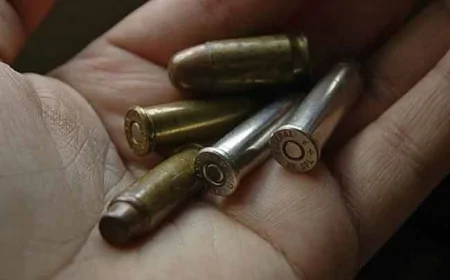 மருதானையில் கைவிடப்பட்ட தோட்டாக்கள் மீட்பு