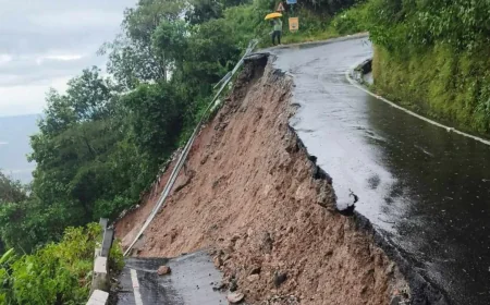 டார்ஜிலிங்கில் பலத்த மழையால் நிலச்சரிவு: 17 பேர் உயிரிழப்பு